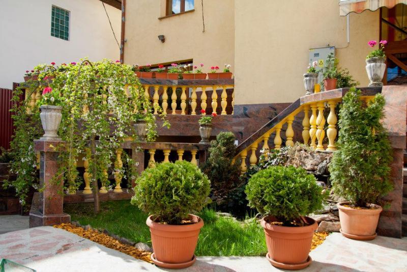 Pension Mellis Cluj Napoca Otel Dış mekan fotoğraf